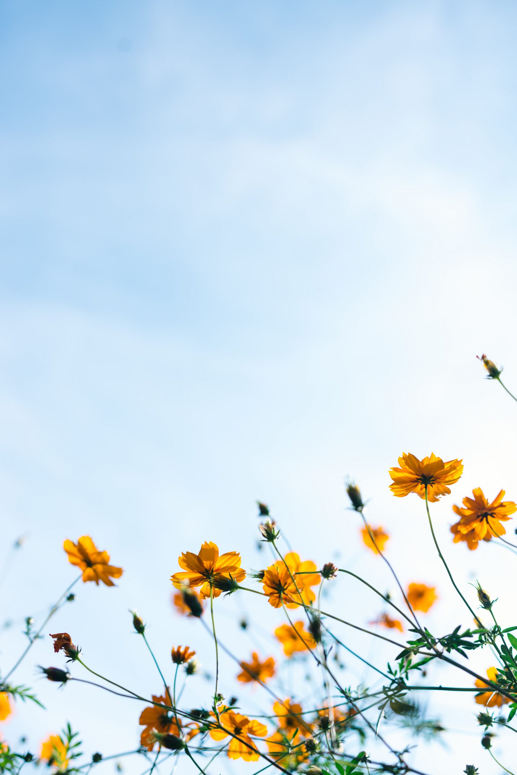 Why It Is Important to Take Care of Your Mental Health